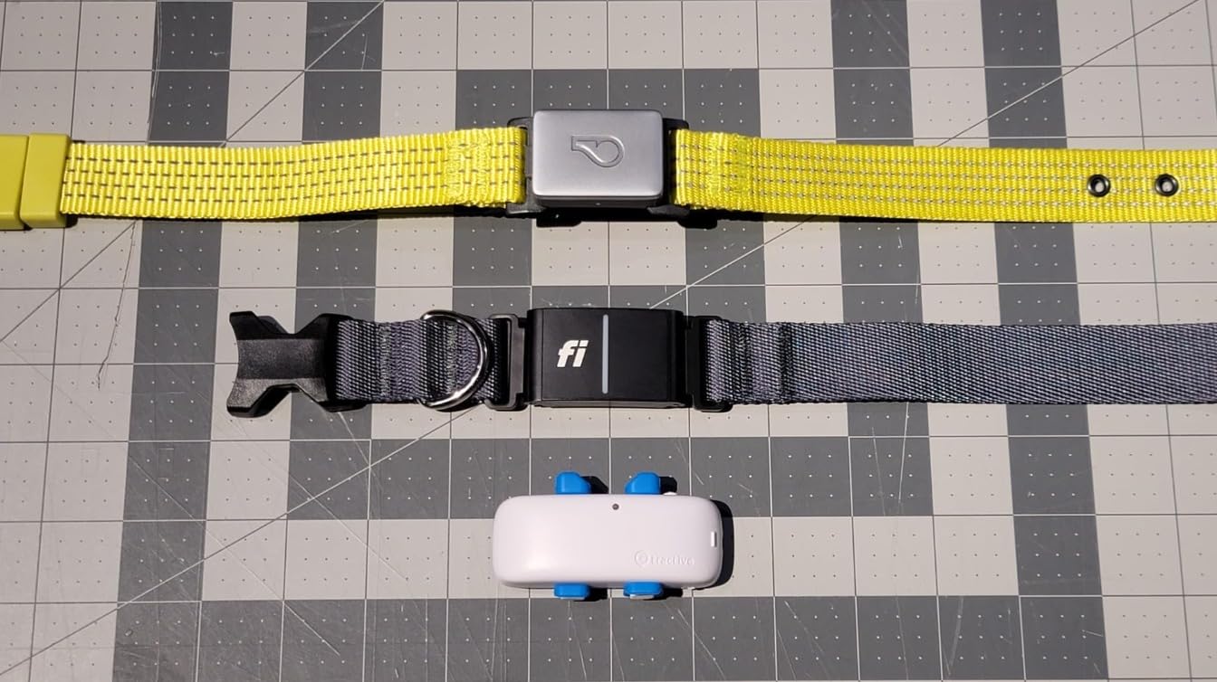 Fi Series 3+ Smart Dog Tracker Collar [12 Month Membership Included] GPS Tracker for Dogs with Health & Behavior Monitoring, Escape Alerts, Waterproof, LED, Apple Watch Compatible (Gray, Large) customer photo 2