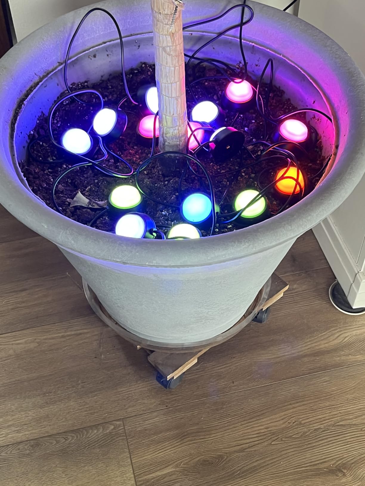 APPECK Outdoor Ground Lights 15 Pack, 32FT RGBW Color Changing Pathway Lights Wired, Smart Landscape Lights IP65 Waterproof, for Path Yard Lawn Patio Holiday Party Decor, with App/Remote Control customer photo 1