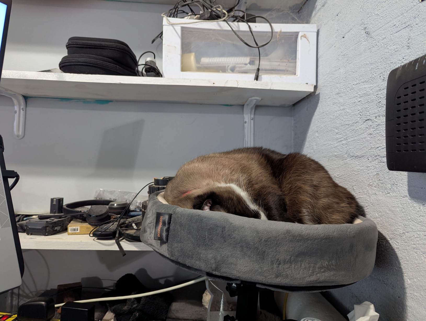 2-in-1 Cat Bed Desk Mount & Headphone Hanger - Adjustable Cats Hammock Bed for Desk, Cat Beds & Furniture for Home Office or Gaming Setup customer photo 2