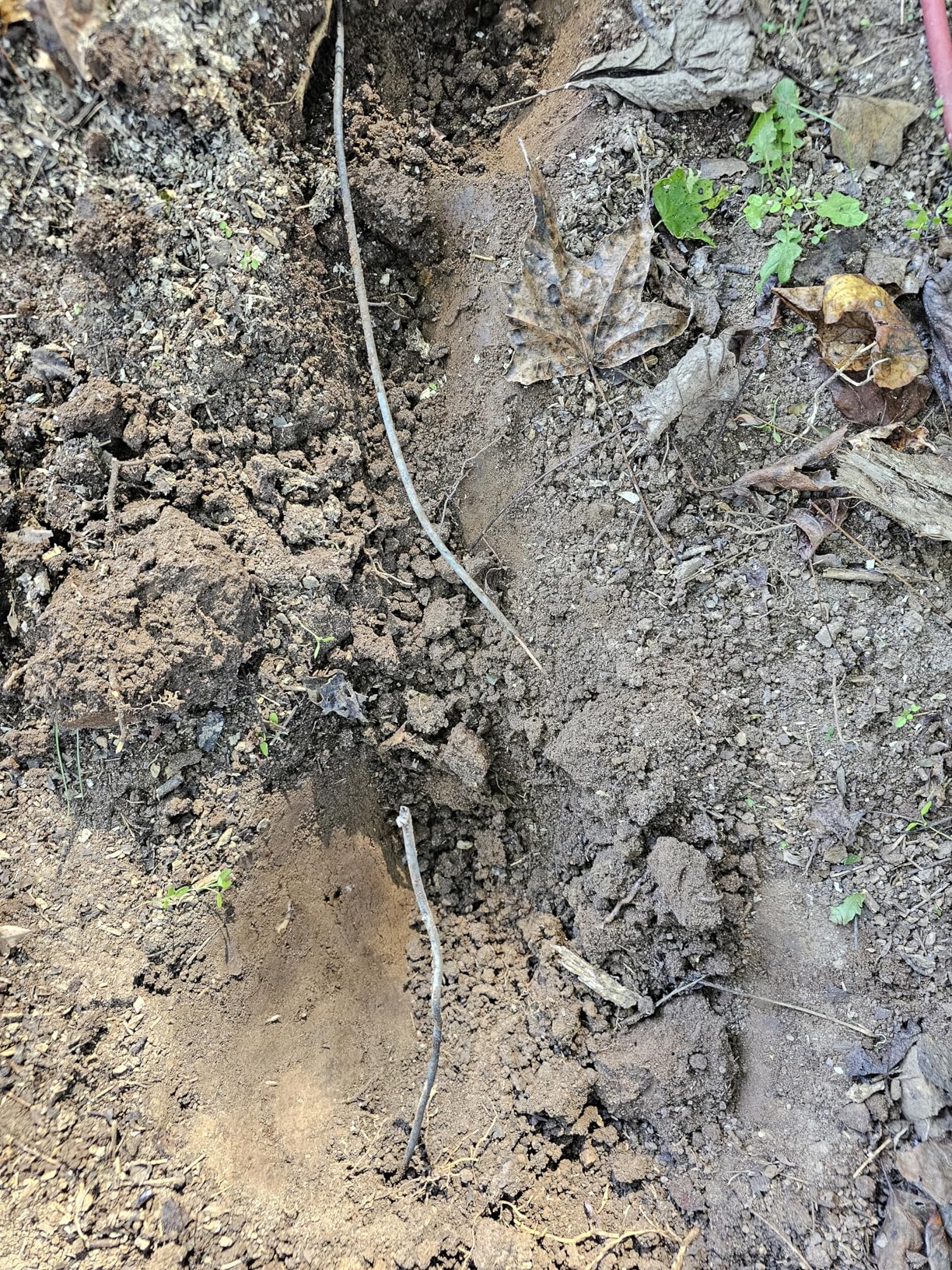 F04 Underground Wire Locator, Cable Locator with Earphone, Buried Wire Detector for Locating Breakage Cables & Wires Dog Fence Cables customer photo 1