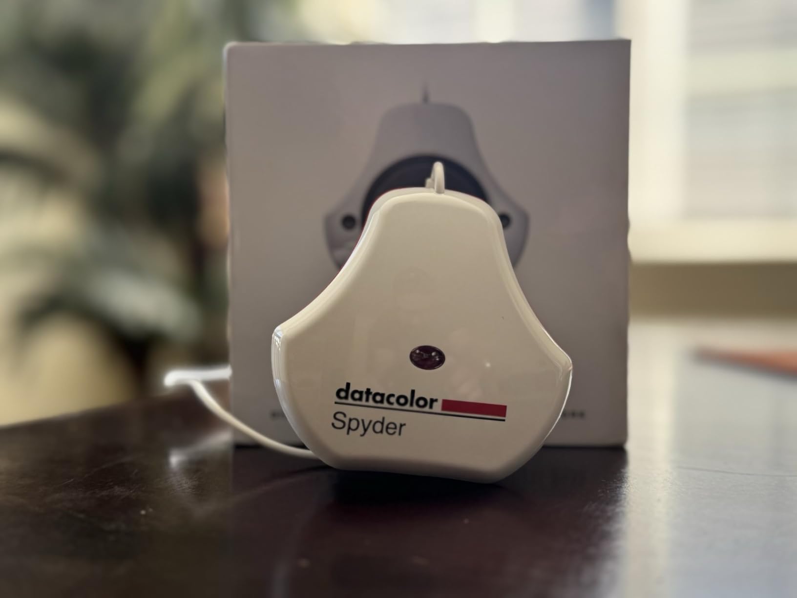 Datacolor SpyderExpress customer photo 2