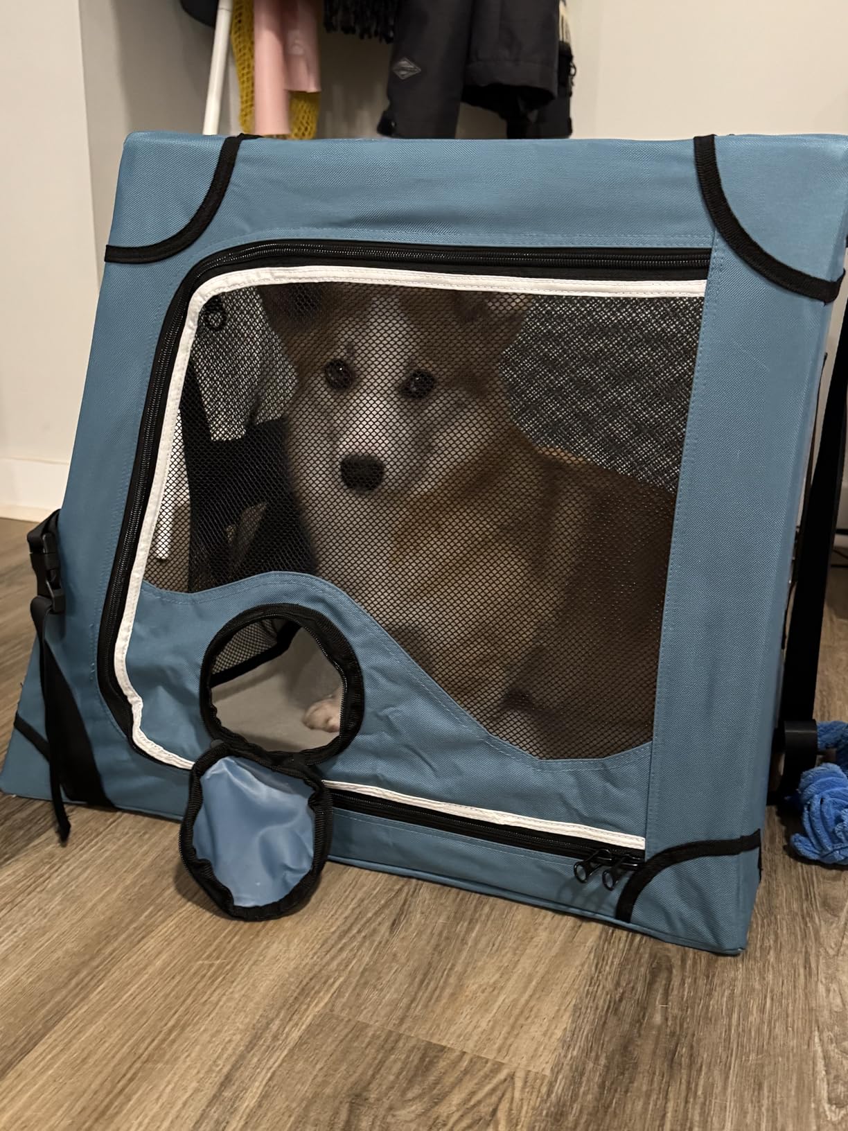 Snagle Paw Portable Dog Crate for Car Travel,Metal Frame Pet Crate,Pet Carrier for Car Back Seat Secures with Headrest Strap and Seatbelt,M customer photo 1