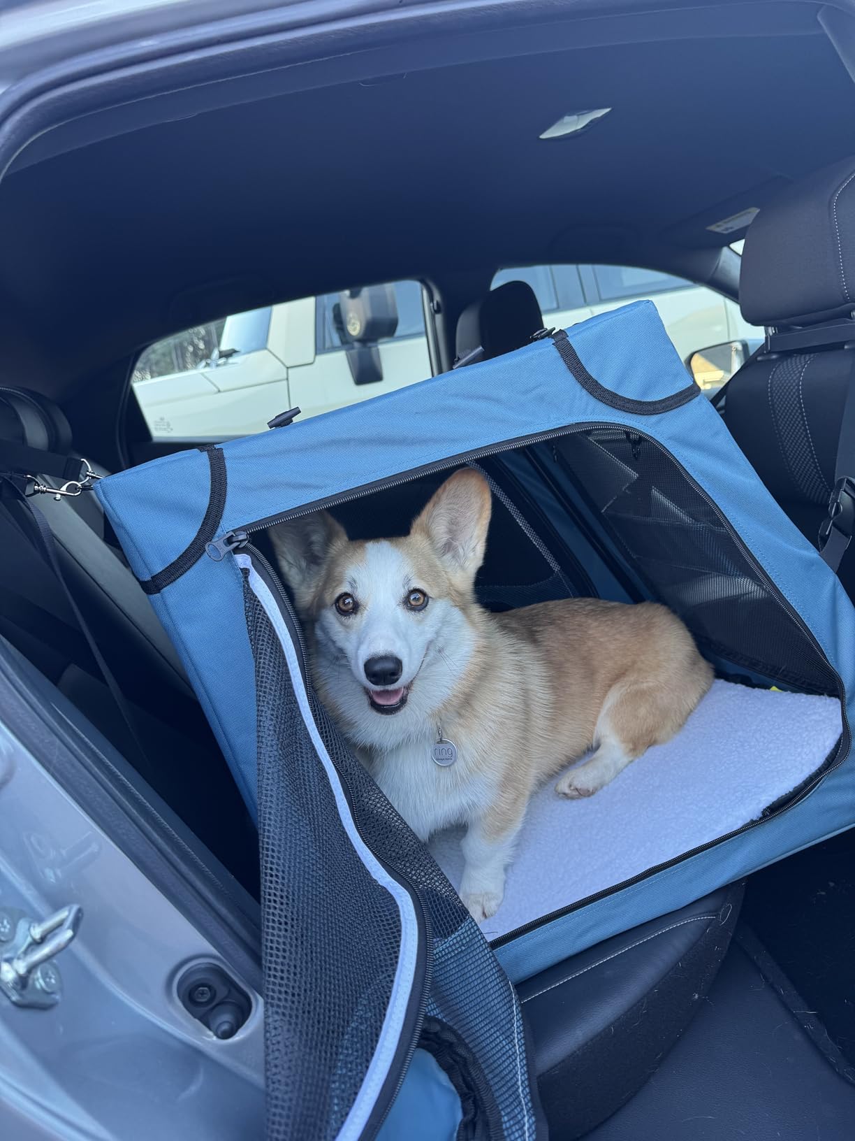 Snagle Paw Portable Dog Crate for Car Travel,Metal Frame Pet Crate,Pet Carrier for Car Back Seat Secures with Headrest Strap and Seatbelt,M customer photo 2