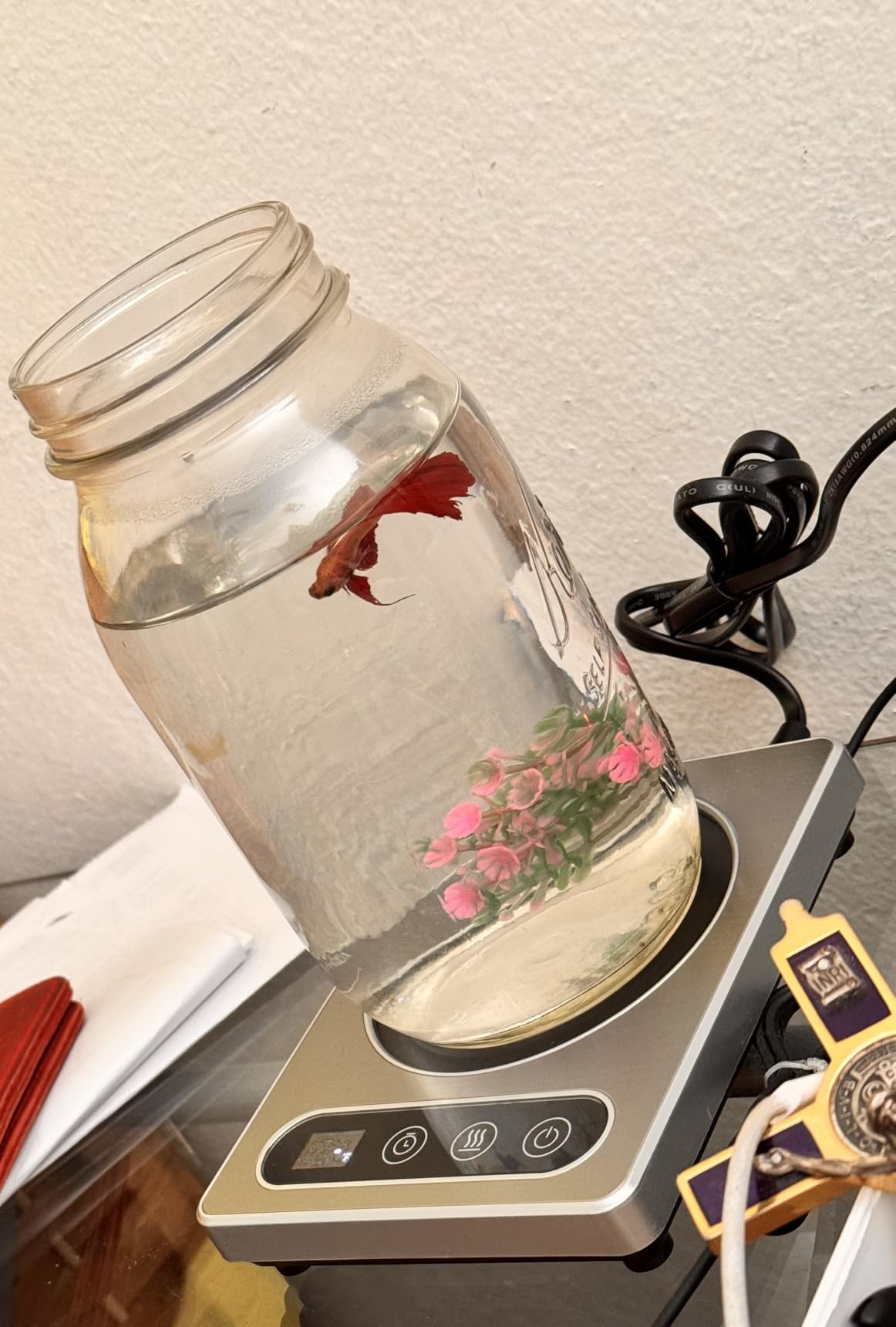 Maestri House ETL Listed Coffee Mug Warmer with 4 Temp Settings & 1-12 Hour Timer, Auto Shut Off for Desk, Smart Electric Beverage Warmer, Candle Melter for Home and Office (Silver) customer photo 1