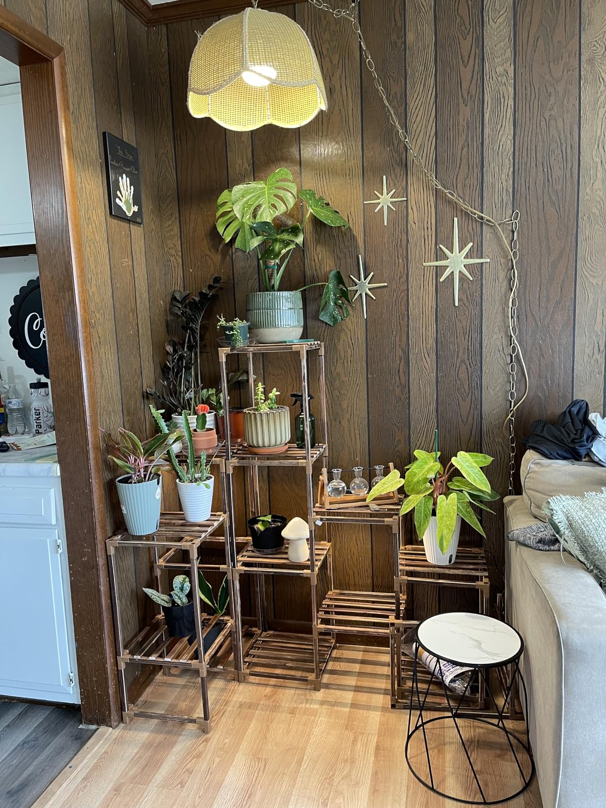 8 inches LED Grow Light Strips, Full Spectrum Grow Lights for Indoor Plants with 6/12/16H Timer, 5 Dimmable Levels, Plant Light for Seedling Succulent, Ideal for Plant Shelf (4 Strips*2pcs) customer photo 1