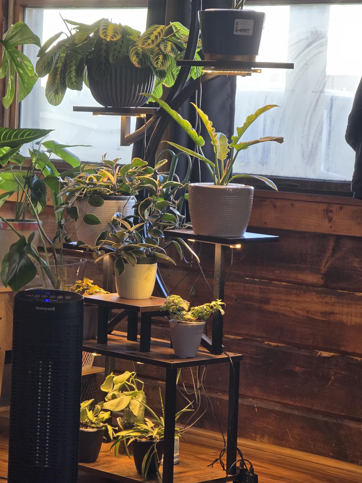 8 inches LED Grow Light Strips, Full Spectrum Grow Lights for Indoor Plants with 6/12/16H Timer, 5 Dimmable Levels, Plant Light for Seedling Succulent, Ideal for Plant Shelf (4 Strips*2pcs) customer photo 2