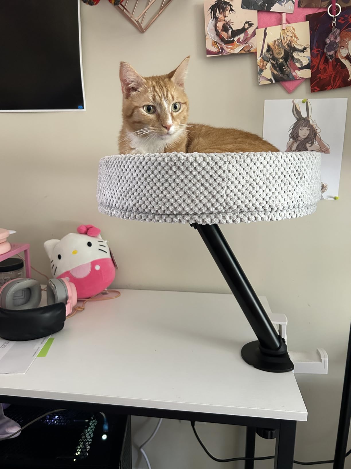 Simcat Modern Desk Cat Bed, Pet Cat Bed for Table Supports Up to 40 lbs, Removable Study Office Game Tables Indoor Cats Desk Beds customer photo 2