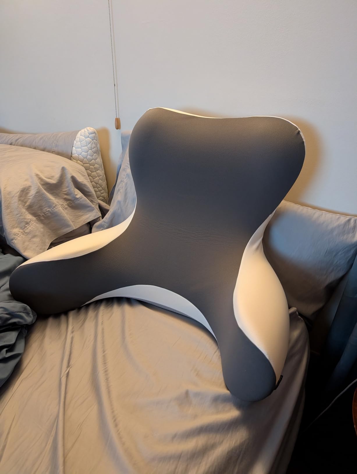 Reading Pillow for Sitting in Bed, 22
