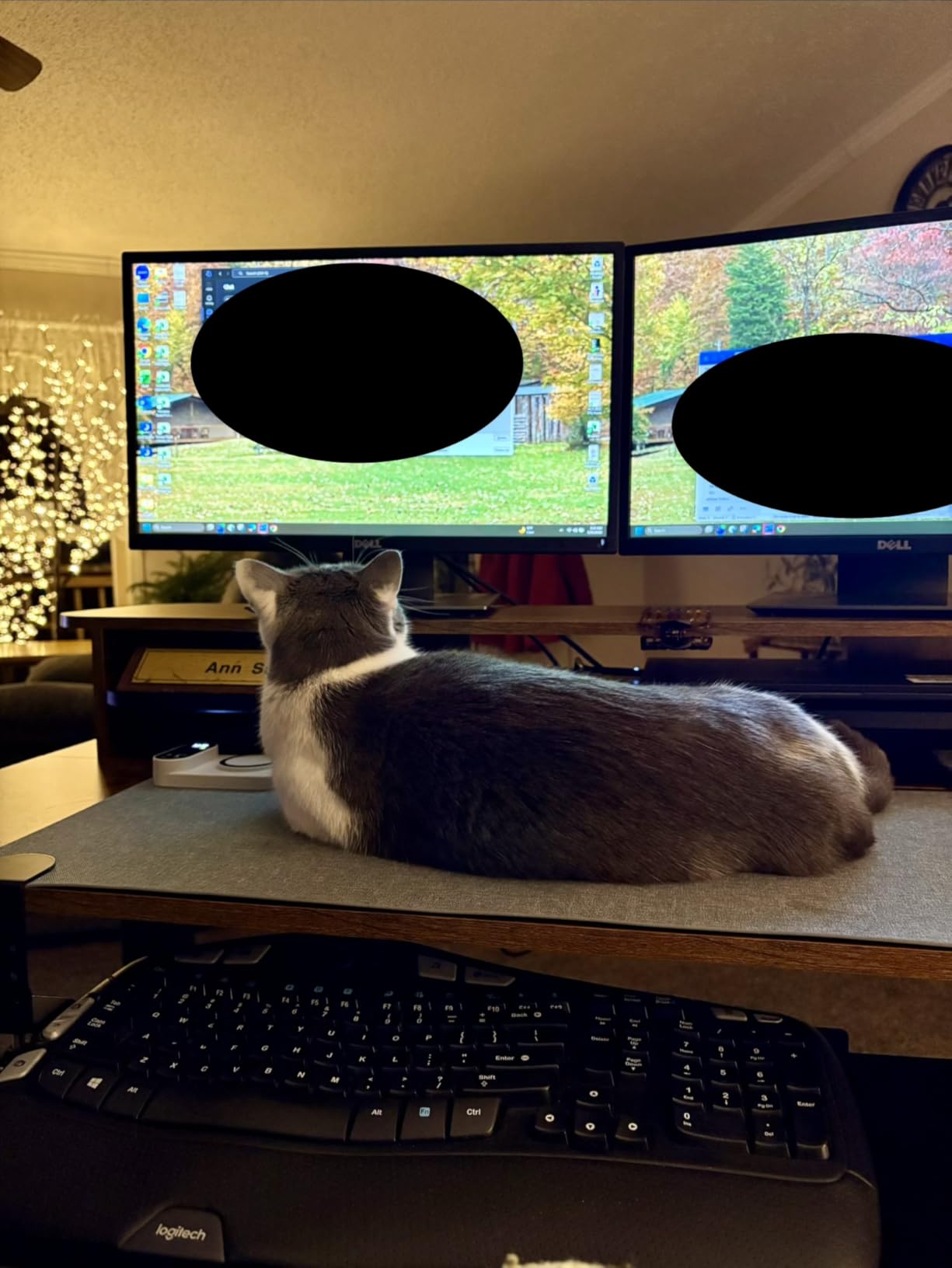 Heated Desk Pad, 10s Fast Heating Desk Mat with Integrated 15W Wireless Charging for Phone/Earbuds, 31.5