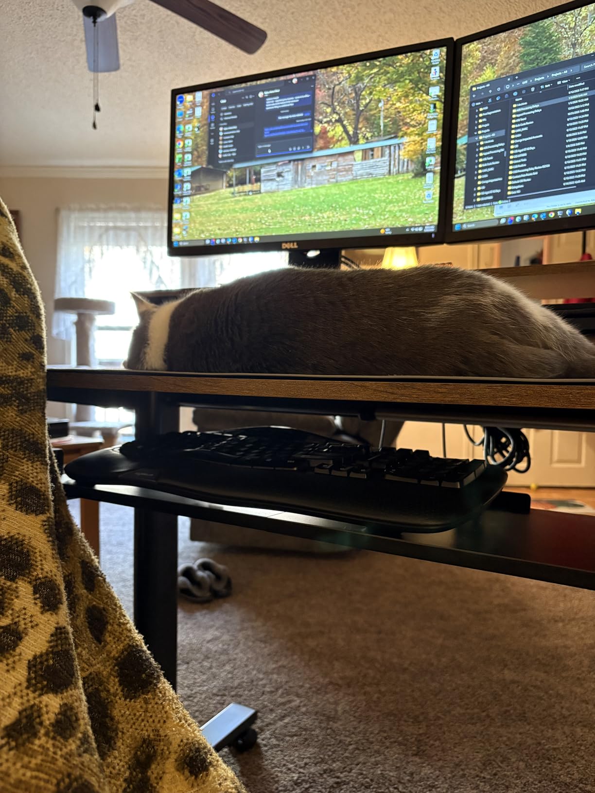 Heated Desk Pad, 10s Fast Heating Desk Mat with Integrated 15W Wireless Charging for Phone/Earbuds, 31.5