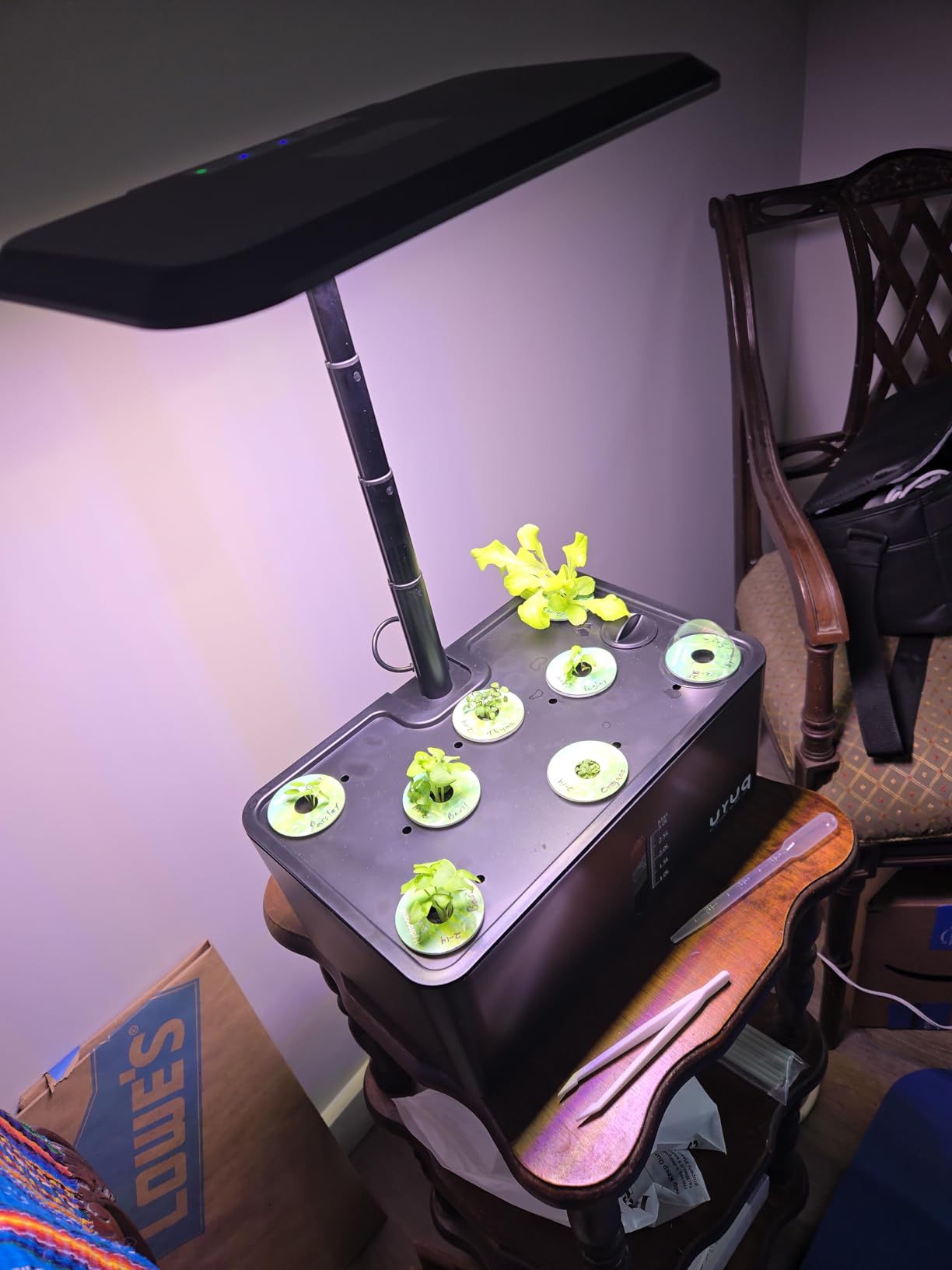 URUQ 8 Pods Hydroponics Growing System with LED Grow Light - Black | Quiet Water Pump, Automatic Timer, Adjustable Height for Fresh Herbs, Vegetables, Indoor Kitchen Gardening Gifts for Women customer photo 2