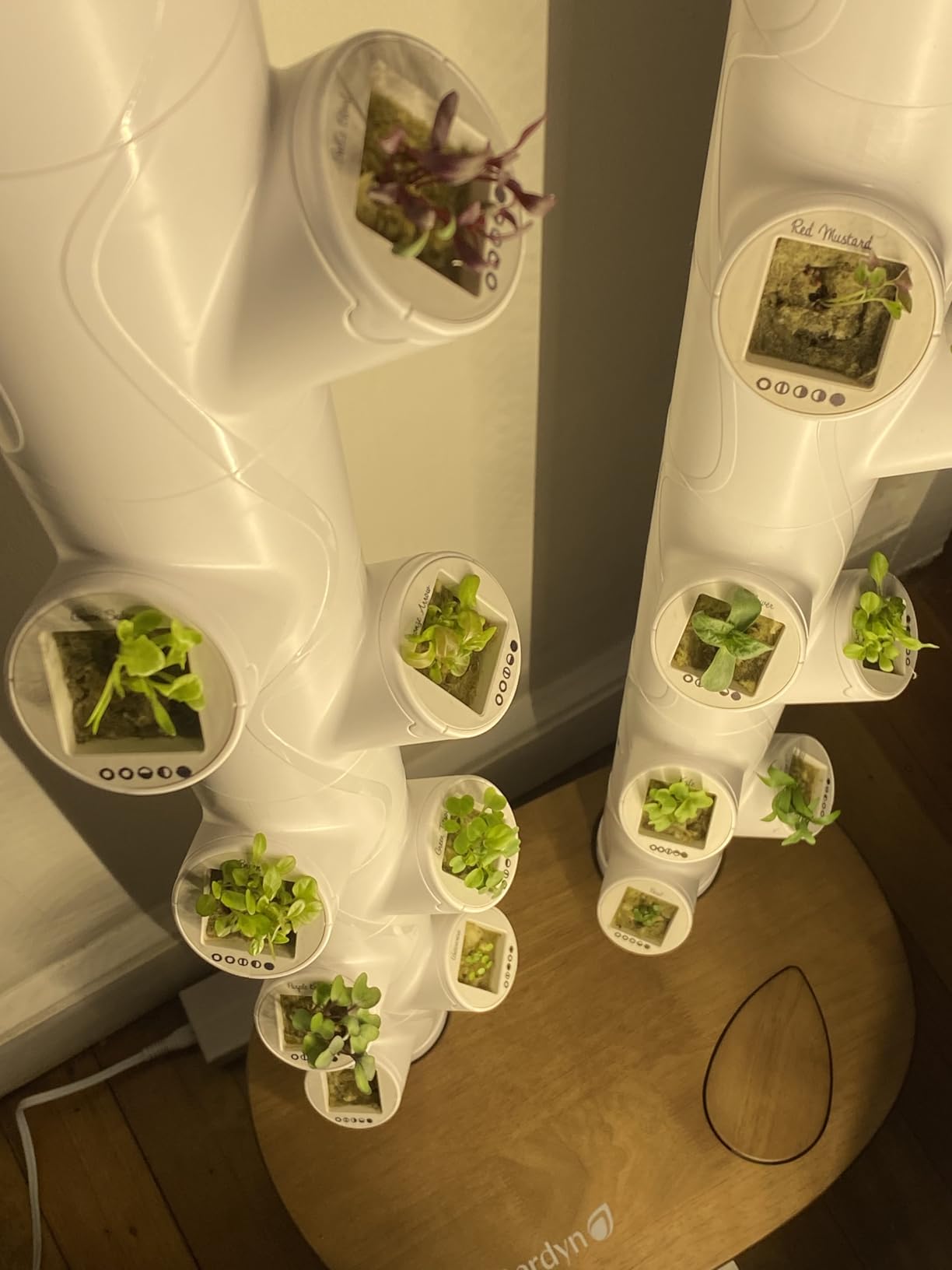 Gardyn Home 4 Vertical Hydroponics Growing System Kit - 30 Plants | AI-Powered Smart Garden with LED Grow Lights. Grow pesticide-free, non-GMO greens & veggies at home-safe, recall-free customer photo 1