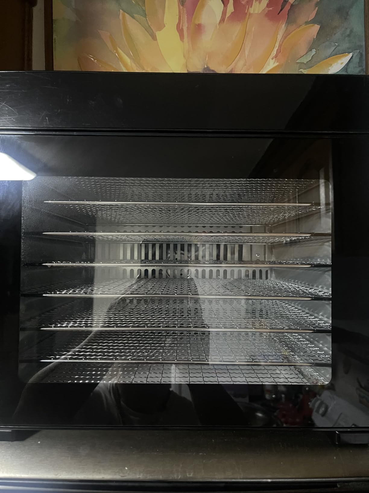 Food Dehydrator 650W, 8 Stainless Steel Tray Dehydrating Machine with Digital Timer & Temp Control (95℉-167℉), Quiet Powerful Jerky Dryer for Beef, Fruits, Herbs, Dog Treats, Veggies customer photo 1