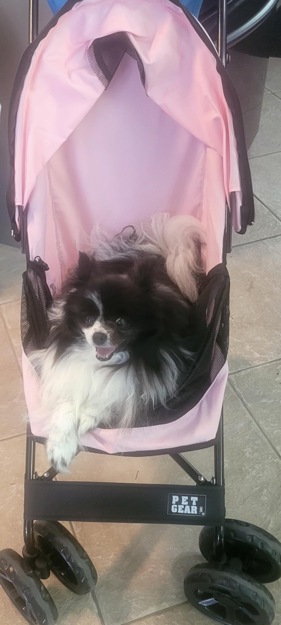 Pet Gear Travel Lite Plus Stroller, Compact, Easy Fold, No Assembly Required, Large Wheels for Cats and Dogs up to 15 pounds, Midnight Black customer photo 1