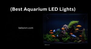 Best Aquarium LED Lights