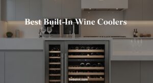 Best Built-In Wine Coolers