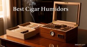 Best Cigar Humidors