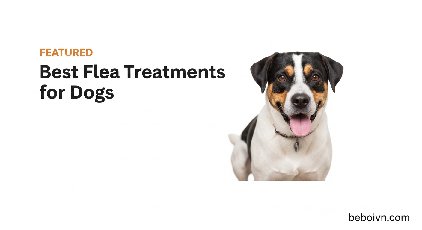 Best Flea Treatments for Dogs