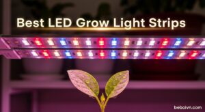 Best LED Grow Light Strips