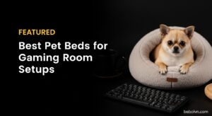 Best Pet Beds for Gaming Room Setups