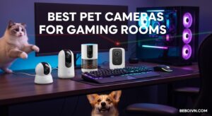 Best Pet Cameras for Gaming Rooms
