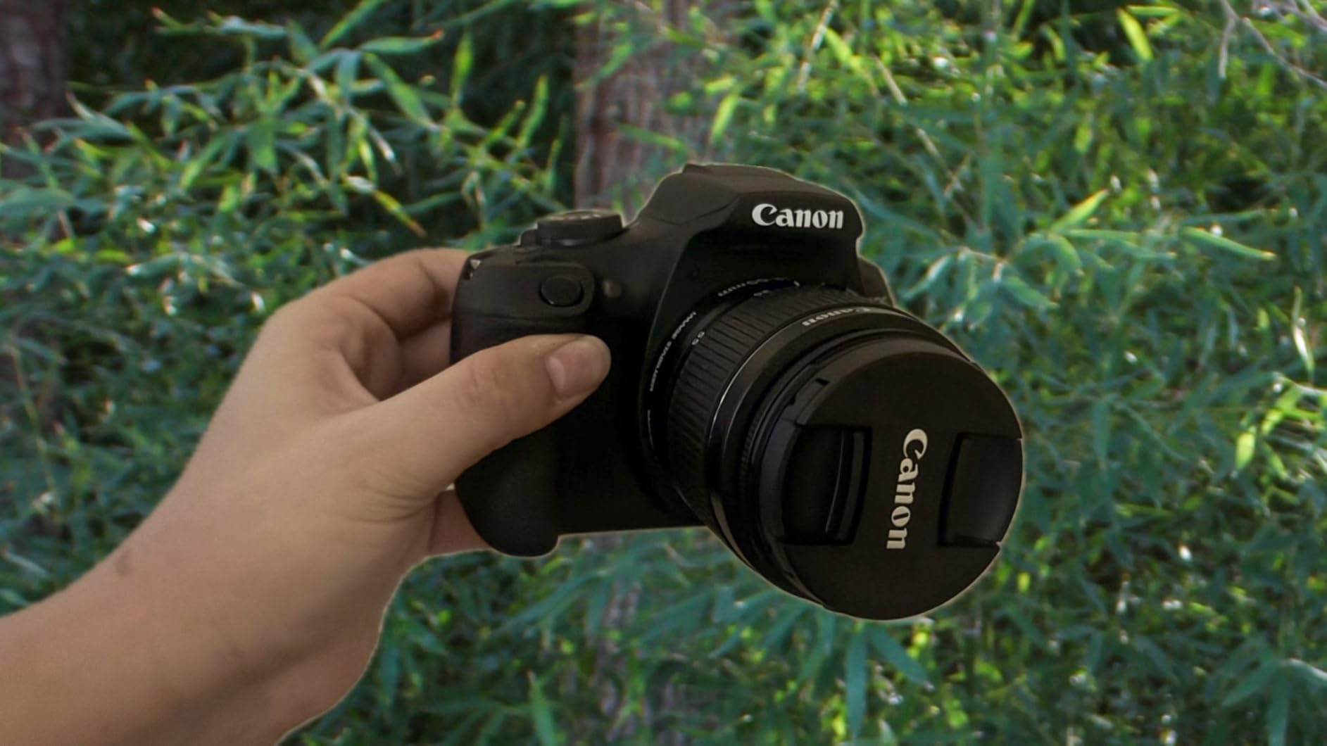 Canon EOS Rebel T7 DSLR Camera Double Zoom Lens Kit with EF-S 18-55mm and EF 75-300mm Lenses customer photo 1