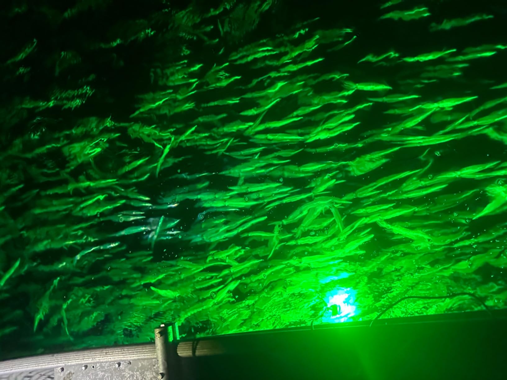 Linkstyle 126 LED Underwater Submersible Fishing Light with 5M Cord, 13W DC 12V 1000ML LED Fish Finder Light Attractants Lamp + Battery Clamps for Ice Fishing Boat, IP68 customer photo 2