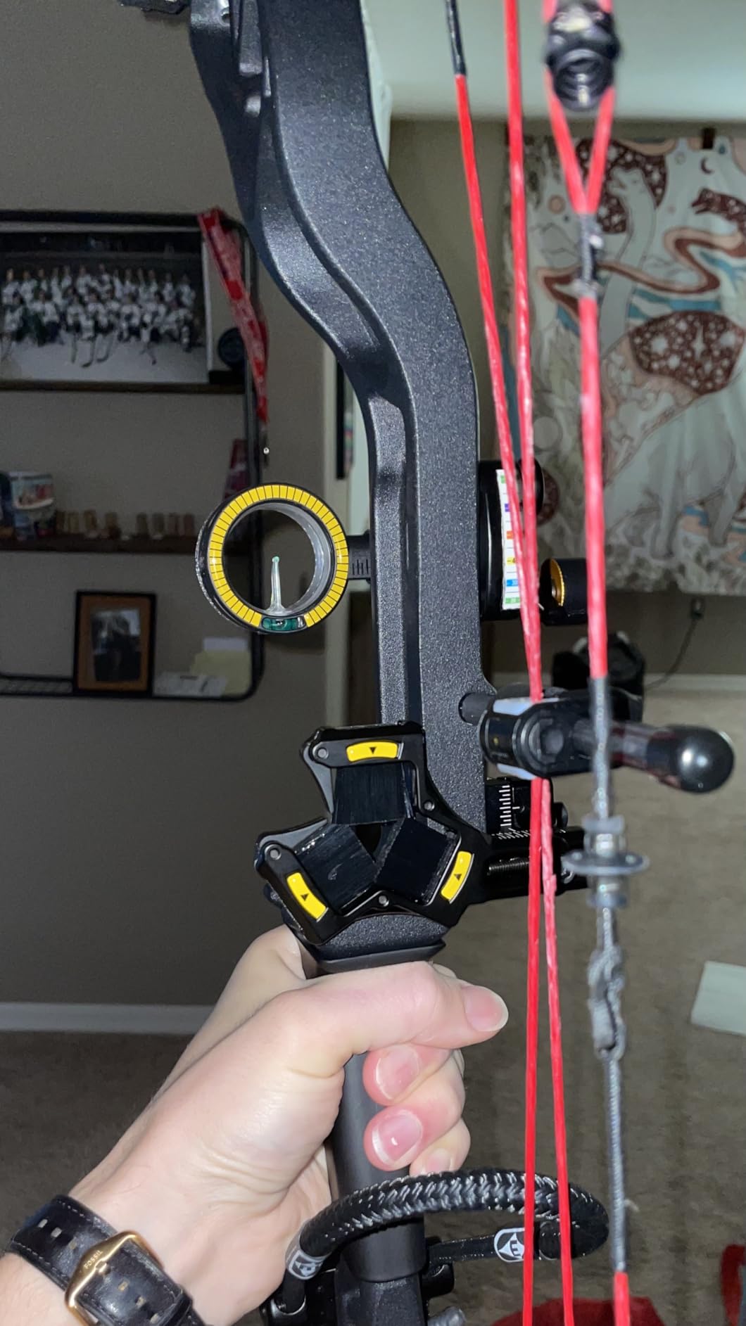 Whisker Biscuit V Max Archery Arrow Rest customer photo 1