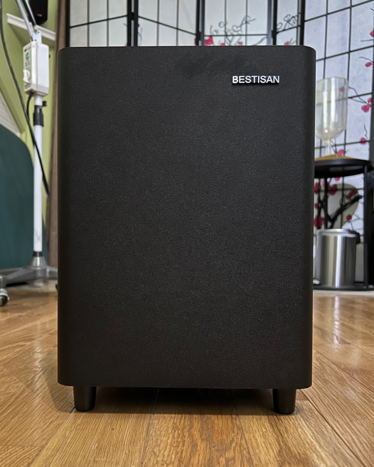 BESTISAN 6.5'' Subwoofer, Powered Home Audio Sub woofer with Deep Bass in Compact Design customer photo 2