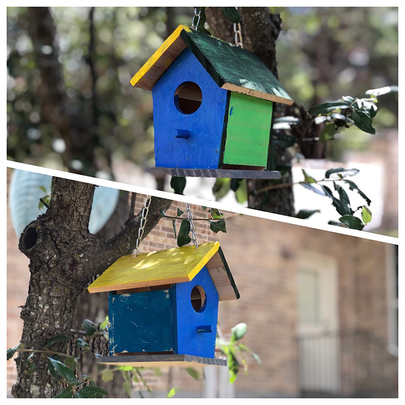 Toysmith Beetle & Bee Bird Call - FSC Certified, Outdoor Play customer photo 2