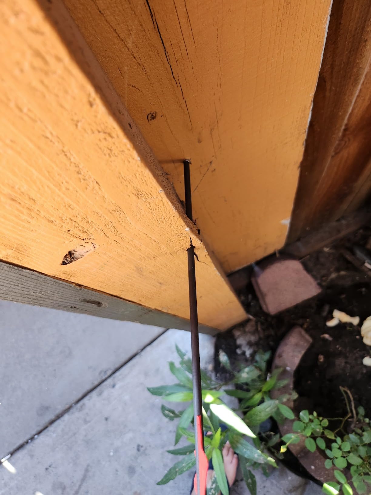 BALLISTA BAT Reverse Draw Compound Mini Crossbow customer photo 1