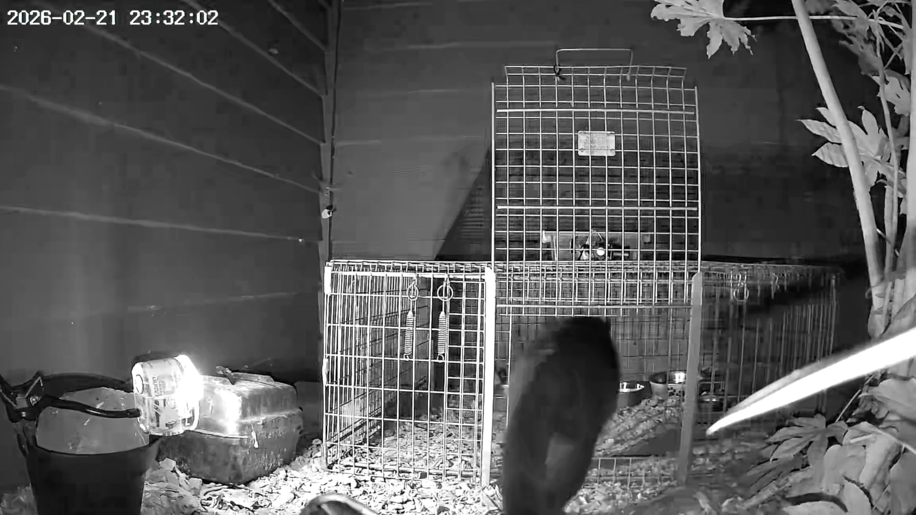 COCOCAM 4G Portable Magnetic Cellular Security Camera Wireless, 2K Indoor/Outdoor Camera for RV/Camping/Travel, 300° Pan, 10000Ahm Battery, PIR&AI Human Detection, IP66, Built-in SIM Card (NO WiFi) customer photo 1