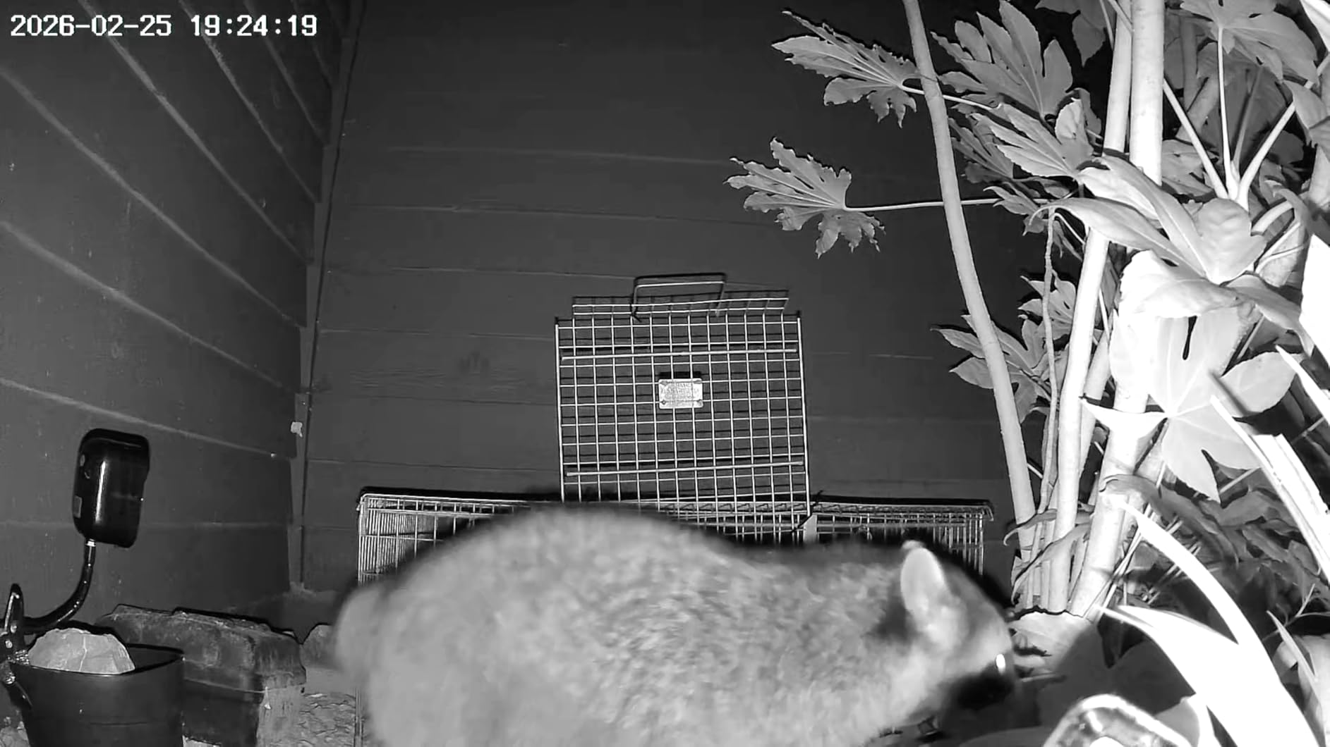 COCOCAM 4G Portable Magnetic Cellular Security Camera Wireless, 2K Indoor/Outdoor Camera for RV/Camping/Travel, 300° Pan, 10000Ahm Battery, PIR&AI Human Detection, IP66, Built-in SIM Card (NO WiFi) customer photo 2