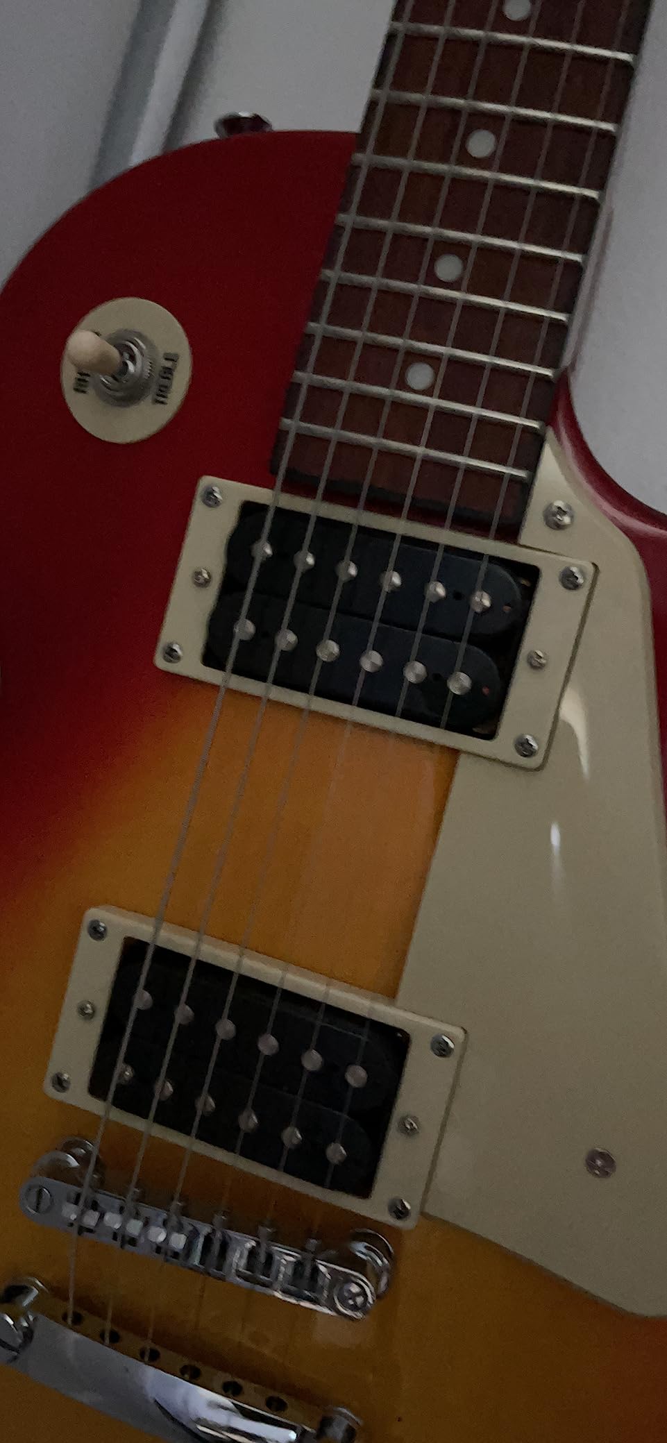 Les Paul-100, Heritage Cherryburst customer photo 1