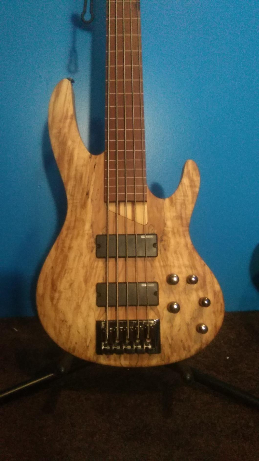 ESP LTD B-204SM Fretless - Natural Satin customer photo 1