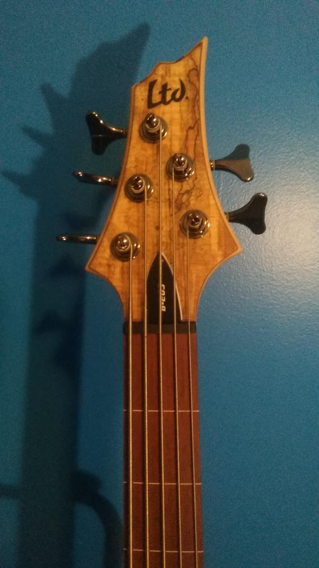 ESP LTD B-204SM Fretless - Natural Satin customer photo 2