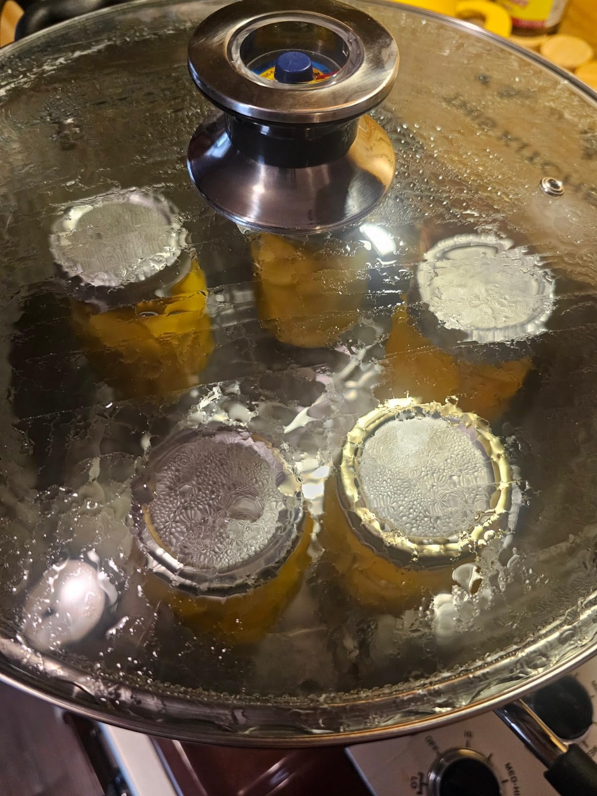 Harvest Stainless Steel 20 Qt Canning Pot with Rack | Water Bath or Steam Canning customer photo 1
