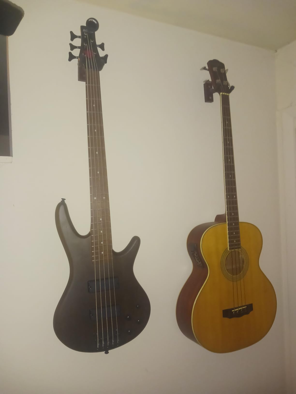 Ibanez GSR205BWNF GIO - Walnut Flat 5-String customer photo 1
