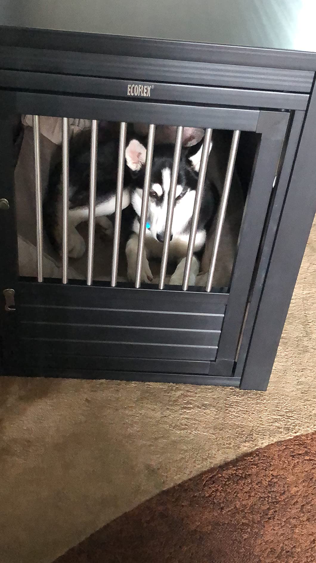 New Age Pet ECOFLEX InnPlace Dog Crate & End Table, Furniture-Style Indoor Kennel for Crate-Trained Dogs, Stainless Steel Spindles, 10-Year Warranty customer photo 2