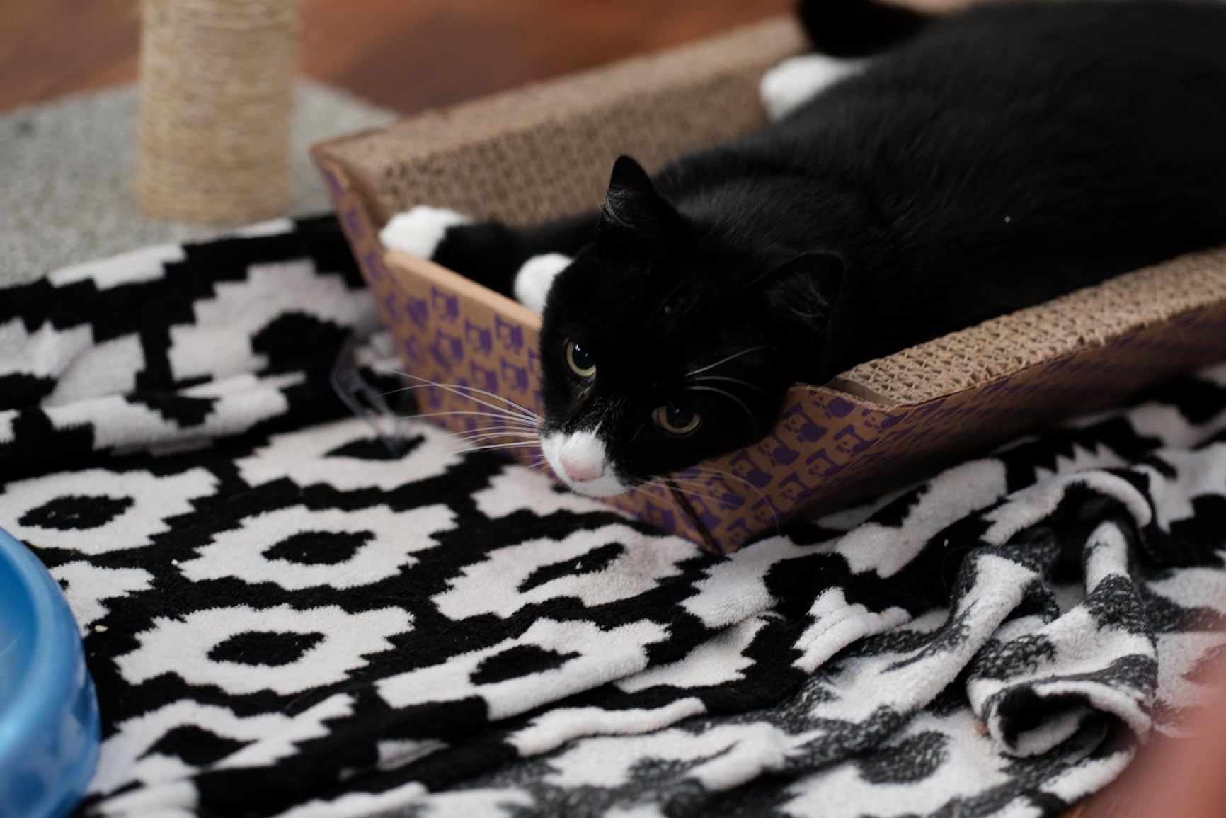 Fujifilm XF90mmF2 R LM WR customer photo 1
