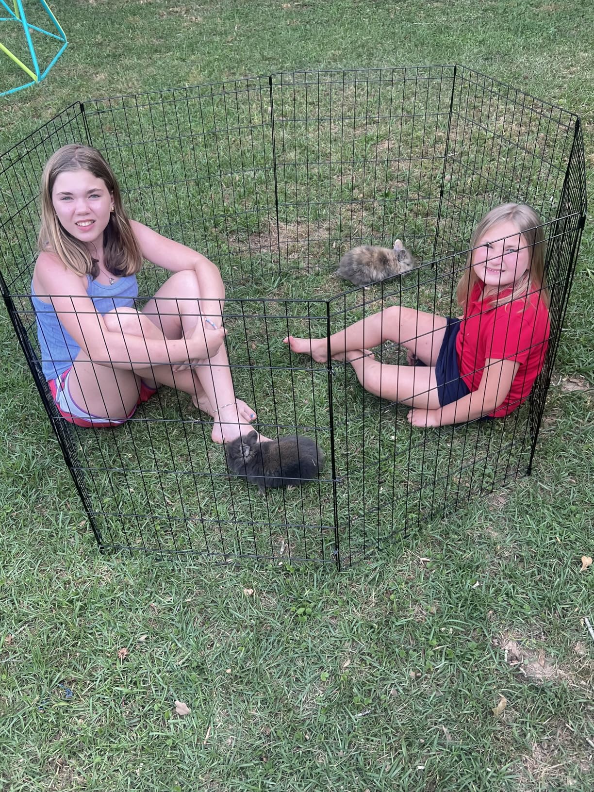 BestPet Foldable Dog Playpen 24 Inch, 8 Panels Metal Pet Exercise Pen Indoor Outdoor Portable Dog Fence with Door customer photo 2