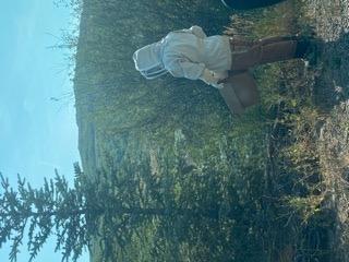 Bee Jacket with Veil - Natural Canvas Bee Suit Jacket with Elastic Waist & Cuffs, YKK Brass Zippers, 3 Utility Pockets. Removable Hood Interchangeable with Forest Beekeeping Suit.(Large) customer photo 1