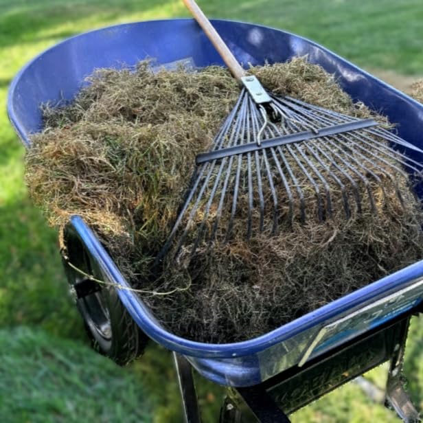 Sun Joe Electric Dethatcher & Scarifier, Corded, with 8-Gal Bag, 12.6-Inch Cutting Width, 12-Amp Motor - Heavy-Duty Yard Trimmer for Lawn Maintenance, AJ801E customer photo 1