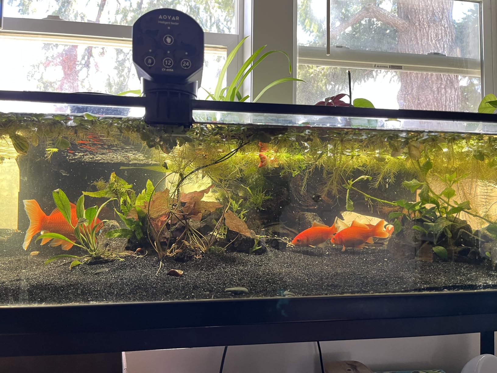 SeaChem - Large Aquarium Fish Tank Filter, Tidal 110 Gallon (400 Liters) by Sicce customer photo 1
