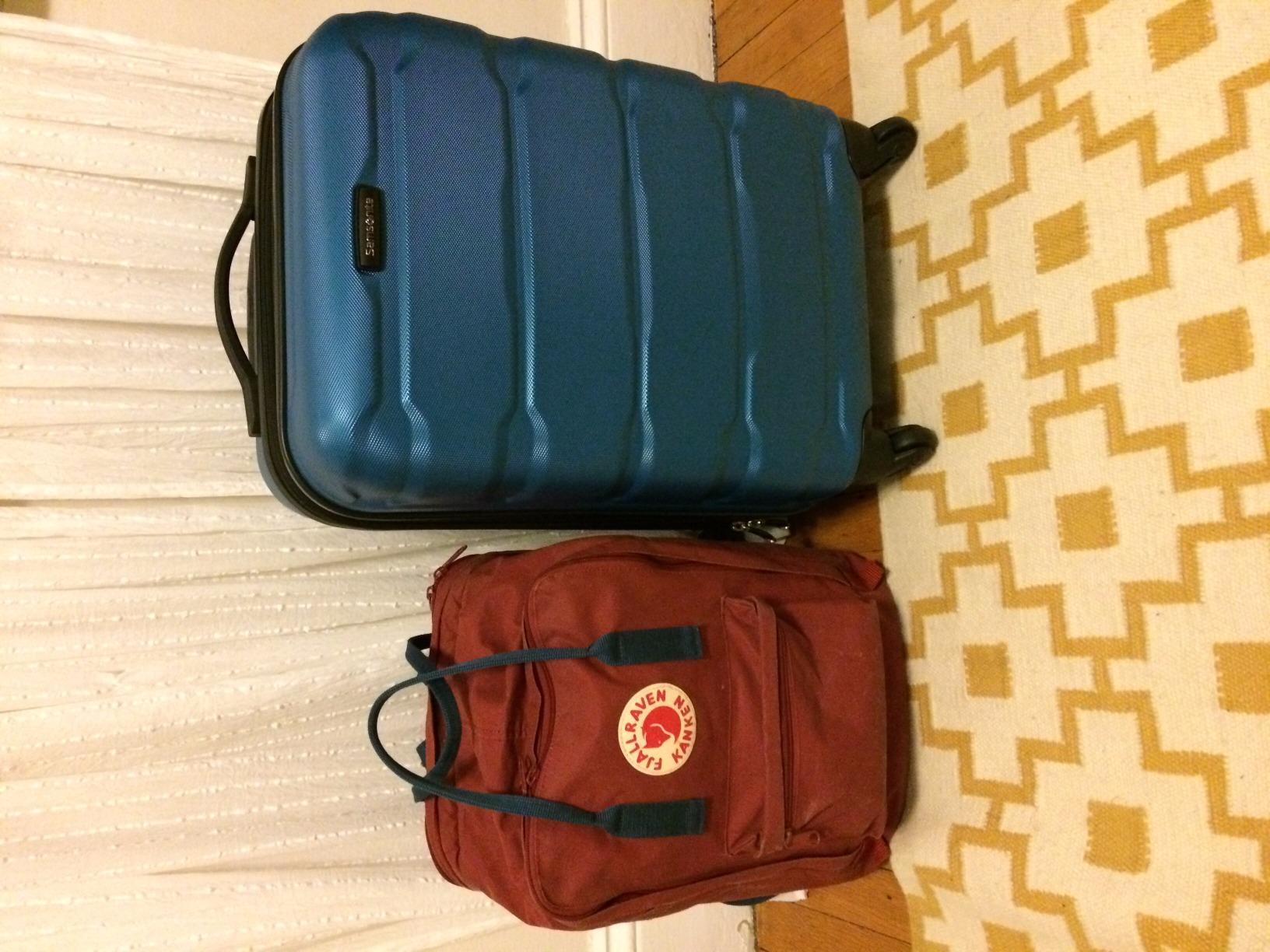 Samsonite Omni PC Hardside Expandable Luggage with Spinner Wheels, Silver, 3-Piece Set (20/24/28) customer photo 2