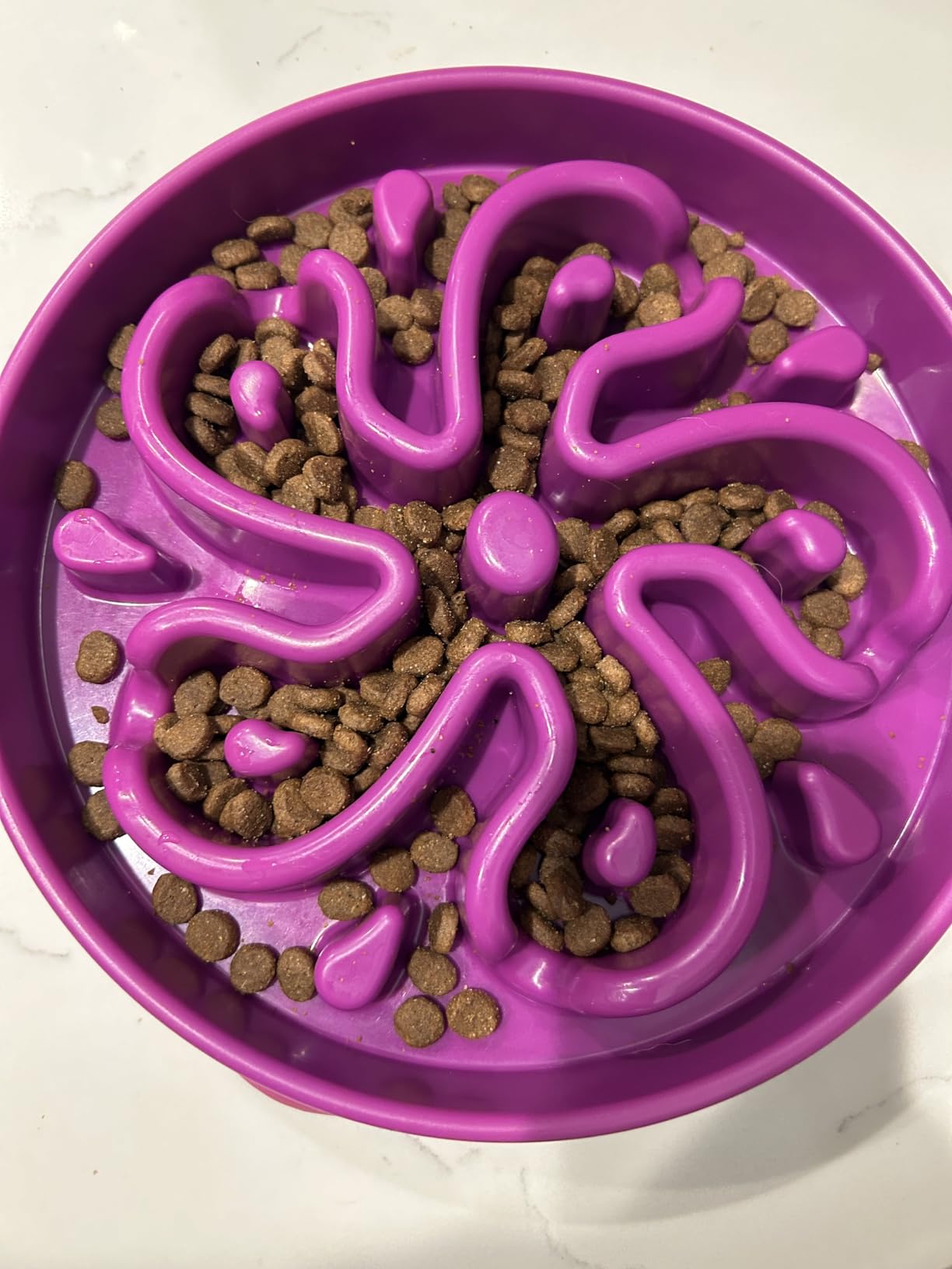 Outward Hound Fun Feeder Slo Bowl - Large 4-Cup Capacity, Slow Feeding, Medium to Large Dogs, Non-Slip, Blue, Notch Pattern customer photo 1