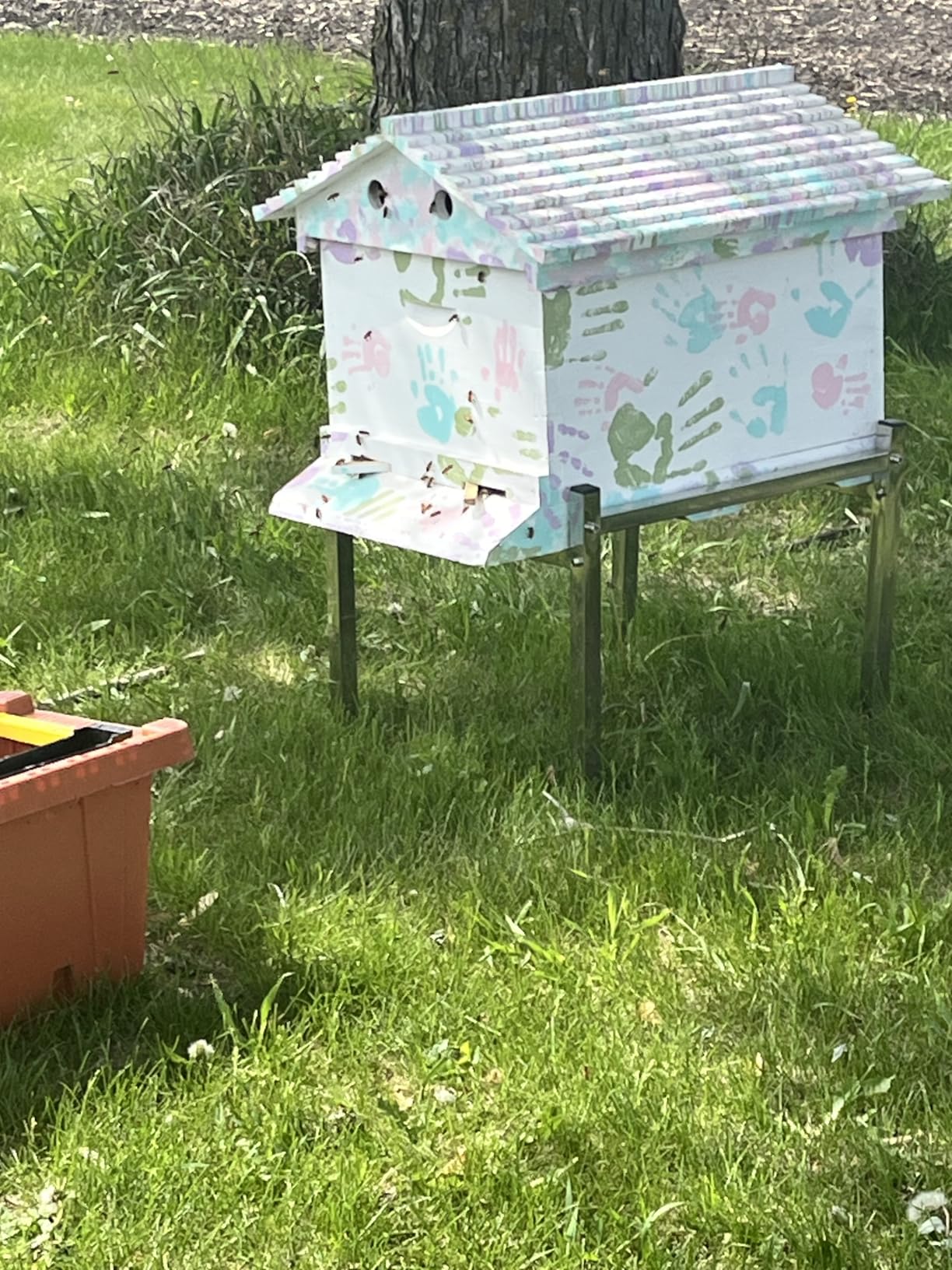 Bee Hive, Beehive with 7pcs Auto Super Frames, Bee House with 1pcs Super Boxes, 1pcs Brood Boxes(No Brood Frames), Bee Hives Starter Beekeeping Kits customer photo 2