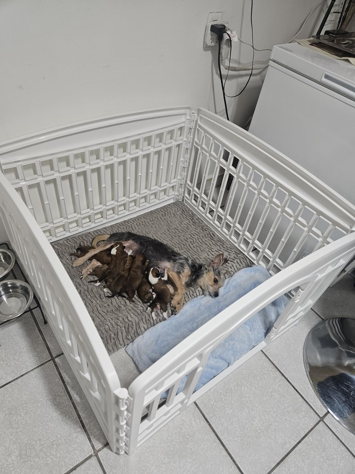 IRIS USA Dog Playpen with Door, 24 inch 4 Panel Pet Exercise Pen - Indoor Outdoor Puppy Play Pen customer photo 2