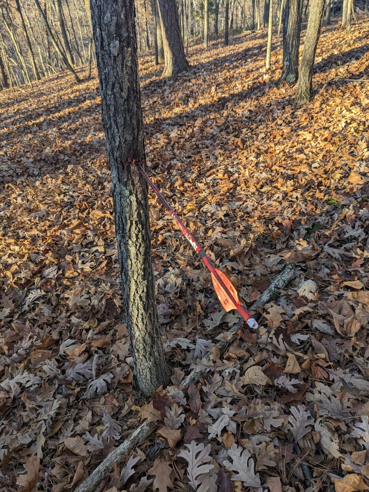 Bloodsport Gravedigger 4-Blade Hunting Hybrid Mechanical Broadhead with Cut-on-Contact Tip - 100 Grains | 1-inch Fixed 1.75-inch Mechanical Cutting Diameter | 3 Pack customer photo 2