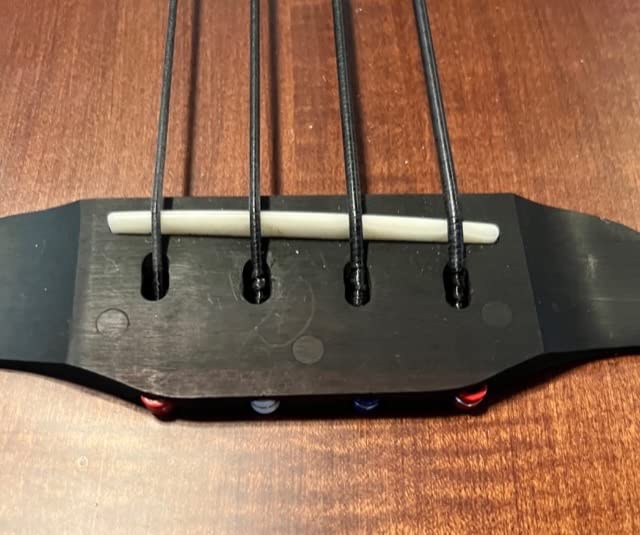 Sawtooth Rudy Sarzo Signature Fretless Acoustic-Electric Bass Guitar customer photo 2